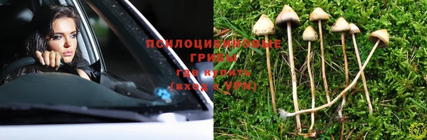 apvp Алексин