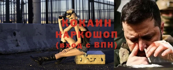 apvp Алексин