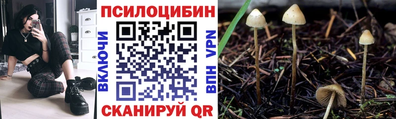 Галлюциногенные грибы ЛСД  omg зеркало  Родники 